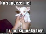 funny dog pictures no squeeze me