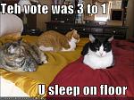 funny pictures you are going to sleep on the floor tonight