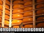 funny pictures mouse is in a room full of cheese