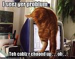 funny pictures cat is troubleshooting your troubles