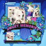 800bmagee-singleton129-sweetmemories.jpg