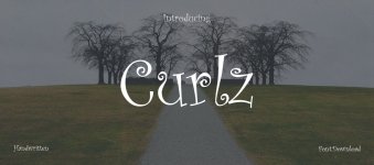curlz-1110x492-6bb0fe1e1d.jpg