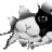 FILIPPOK