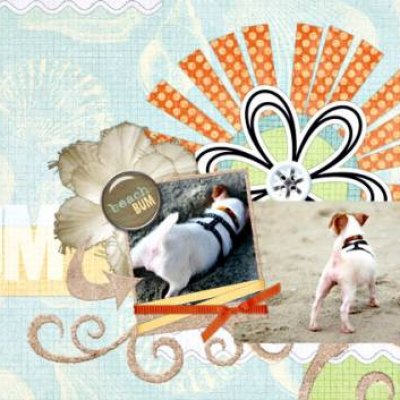Beach Bum
