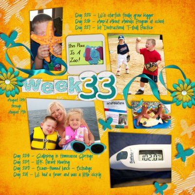 365 Week 33