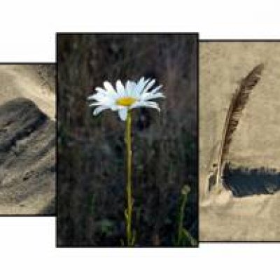 photo challenge