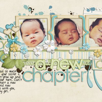 A New Chapter