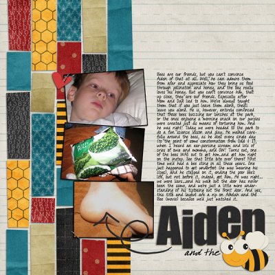 Aiden and the Bee