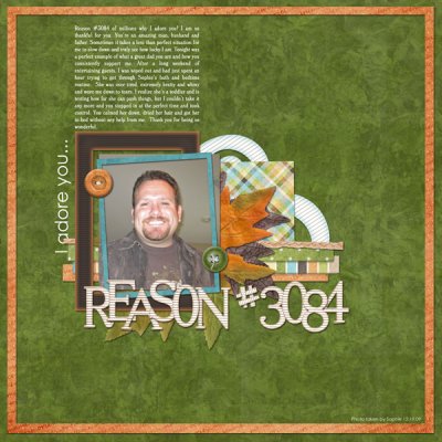 Reason 3084