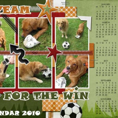 Calendar 2010 :: A Team For the Win