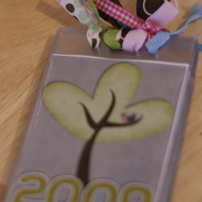 2009 Badge Album