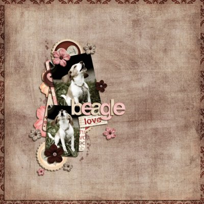 Beagle Love