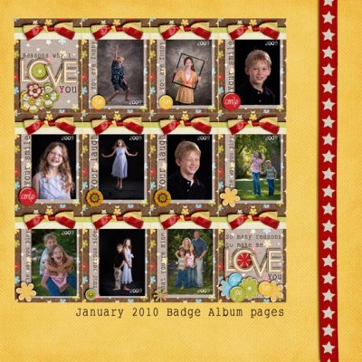 Mini Badge Album