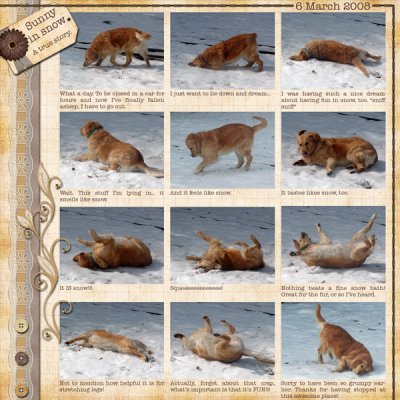 A dog's life