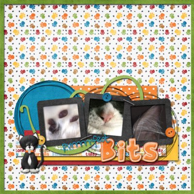 purrrfect-bits