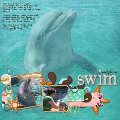 dolphin-swim-before-i-die