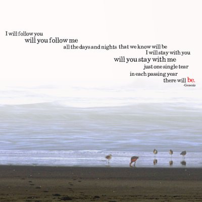 Follow You, Follow Me