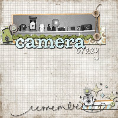 Camera Collection