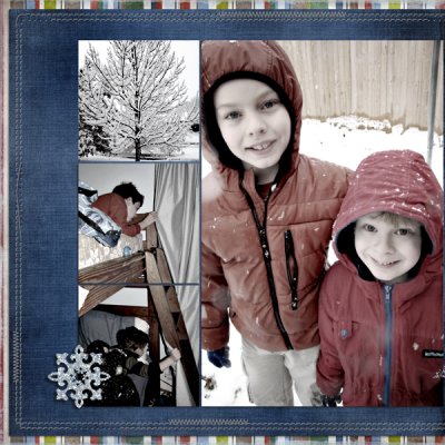 Snow 2010