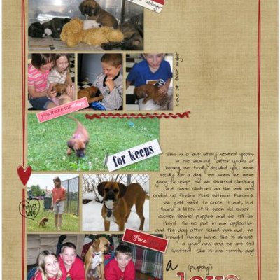 A (puppy) Love Story