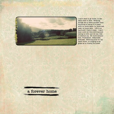 A Forever Home