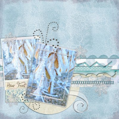 Hoar Frost
