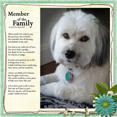Member of the Family