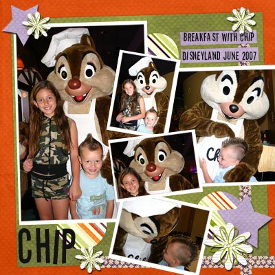 Chip
