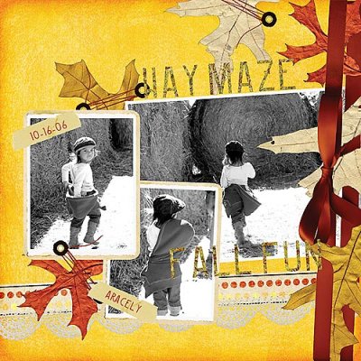 Hay Maze