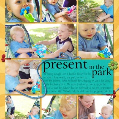 Present in the Park