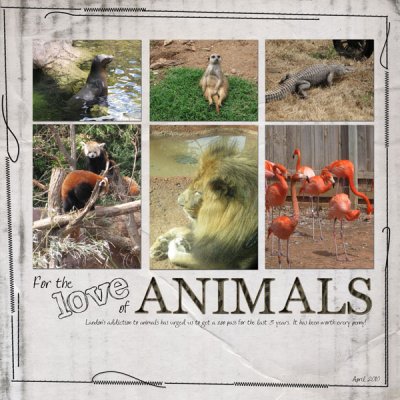 Love of Animals