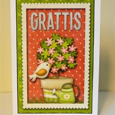 Swedish Birthday Card