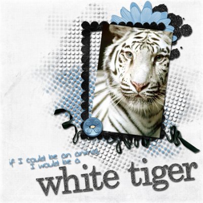White Tiger