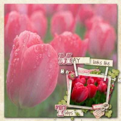 May Looks Like...