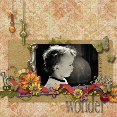Wonder