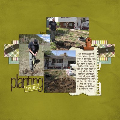 planting trees