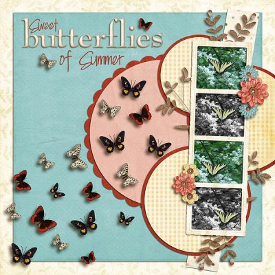 Sweet Summer Butterflies