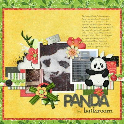 Panda in the Bathroom