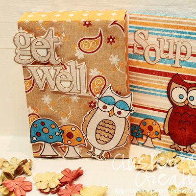 Get Well Gift