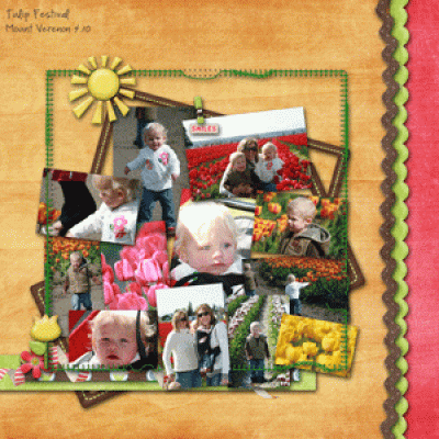 tulip festival