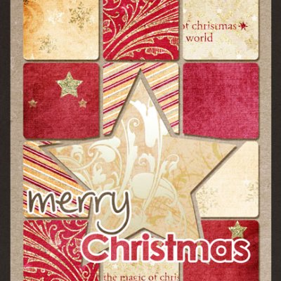 Christmas Cards 2010 :: Kristin I