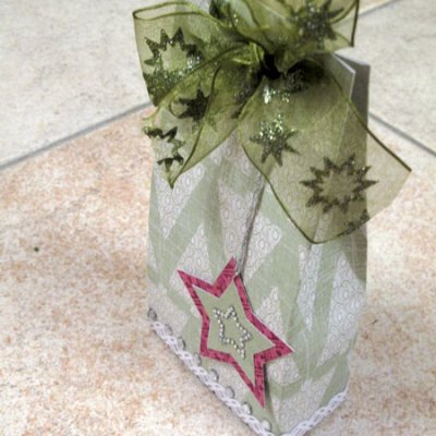 St Nicolaus treatbag :: Icy Green