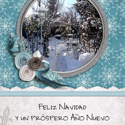 Christmas postcard for MIL