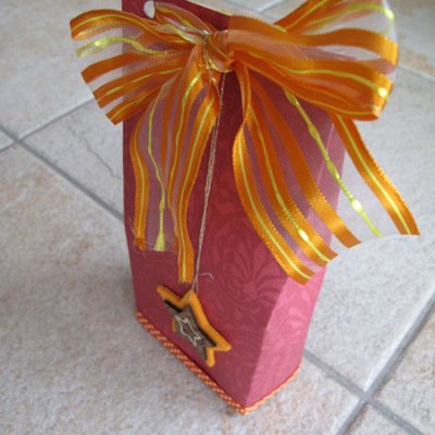 St Nicolaus treatbag :: Orange Elegant