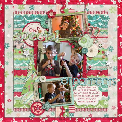 Our Special Ornaments