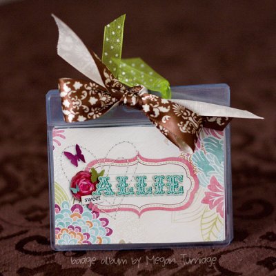 "Sweet Allie" Badge Album