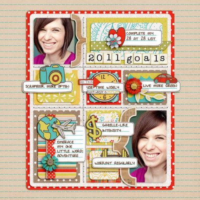 2011 Goals