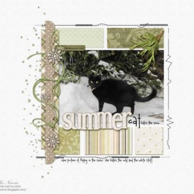 Summer cat hates ....