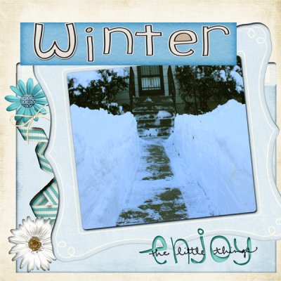 blizzard_2011
