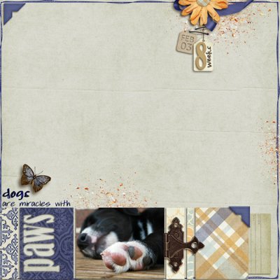 Miracle with Paws